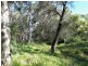 Lot 97 Steeds Road, Winfield QLD 4670
