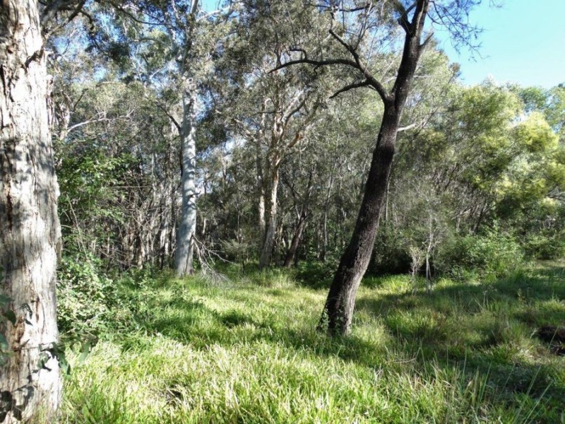 Lot 97 Steeds Road, Winfield QLD 4670