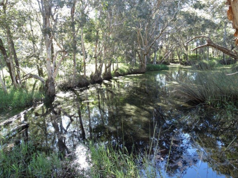 Lot 97 Steeds Road, Winfield QLD 4670