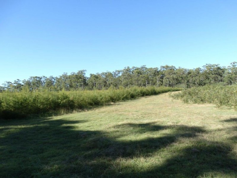 Lot 97 Steeds Road, Winfield QLD 4670