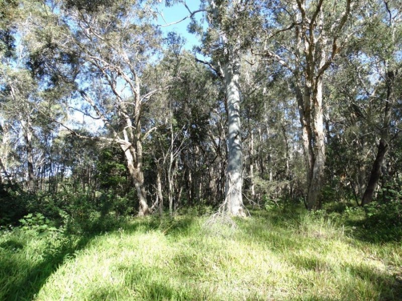 Lot 97 Steeds Road, Winfield QLD 4670