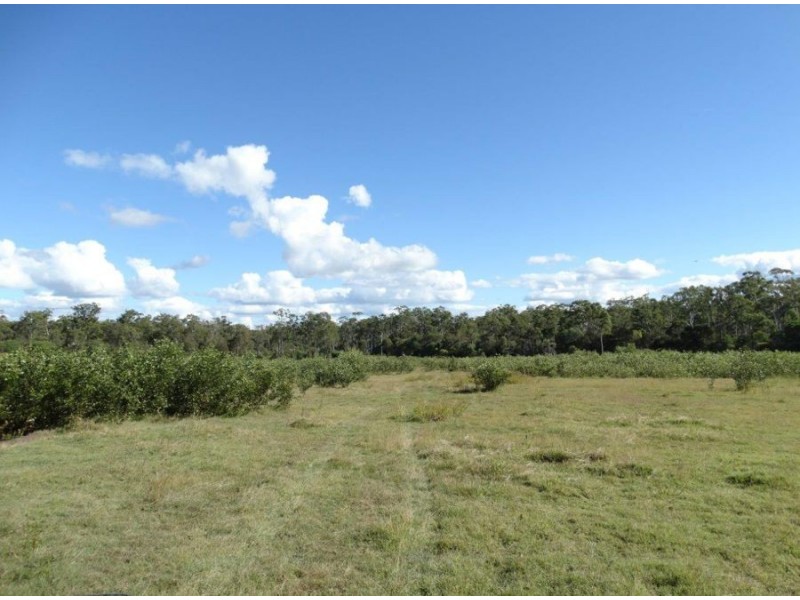 Lot 97 Steeds Road, Winfield QLD 4670