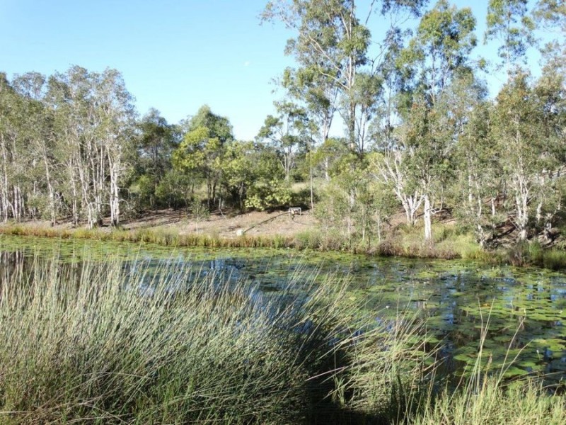 Lot 97 Steeds Road, Winfield QLD 4670
