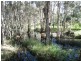 Lot 97 Steeds Road, Winfield QLD 4670