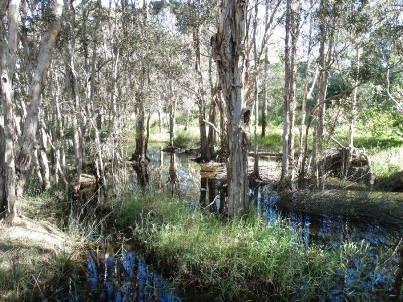 Lot 97 Steeds Road, Winfield QLD 4670