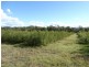Lot 97 Steeds Road, Winfield QLD 4670