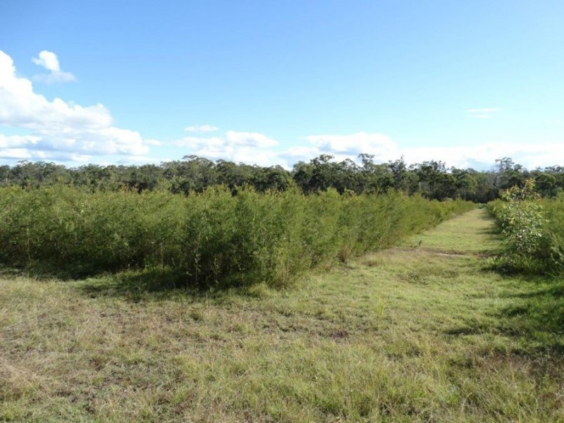 Lot 97 Steeds Road, Winfield QLD 4670