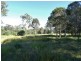 Lot 97 Steeds Road, Winfield QLD 4670