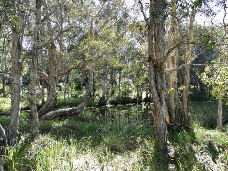 Lot 97 Steeds Road, Winfield QLD 4670