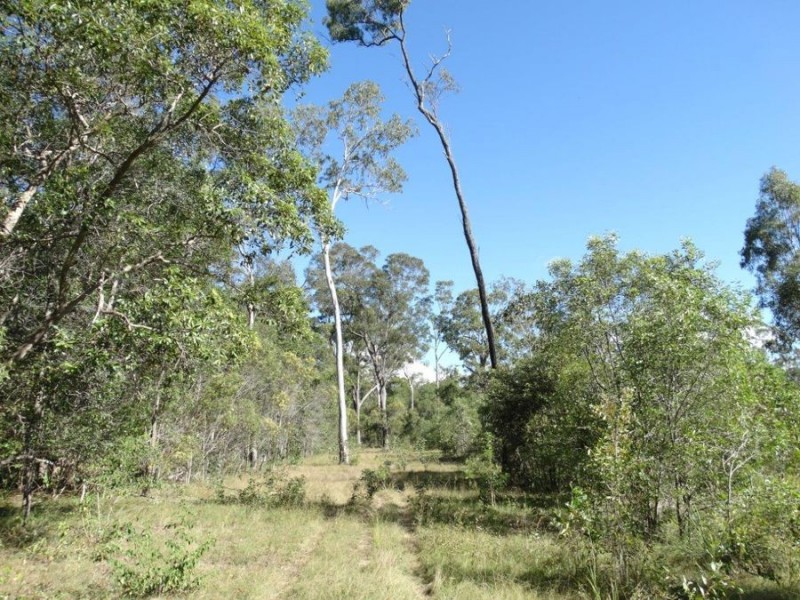 Lot 97 Steeds Road, Winfield QLD 4670