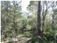 Lot 97 Steeds Road, Winfield QLD 4670