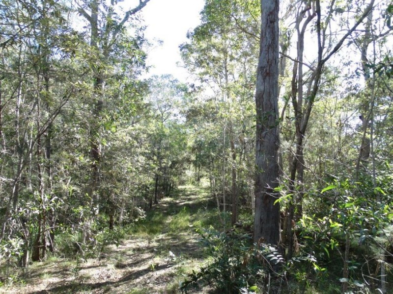 Lot 97 Steeds Road, Winfield QLD 4670