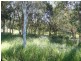 Lot 97 Steeds Road, Winfield QLD 4670