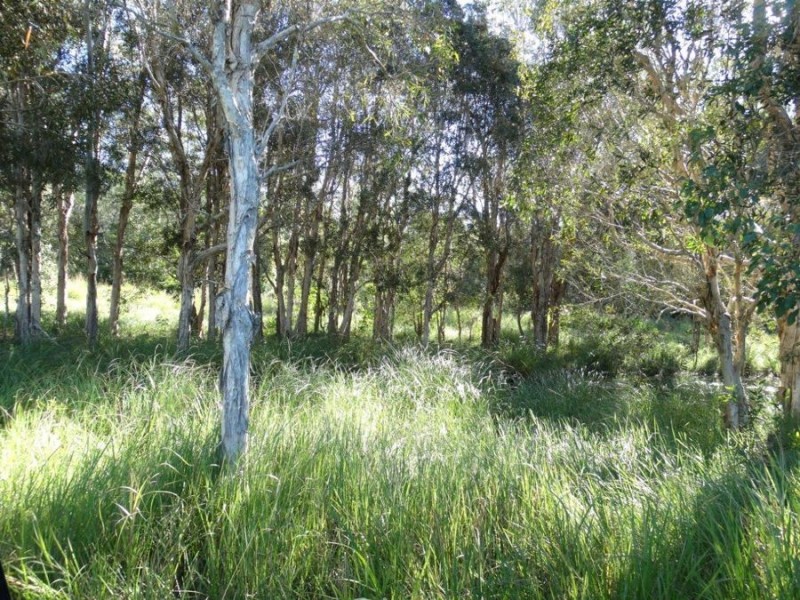 Lot 97 Steeds Road, Winfield QLD 4670