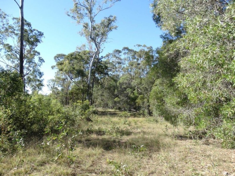 Lot 97 Steeds Road, Winfield QLD 4670