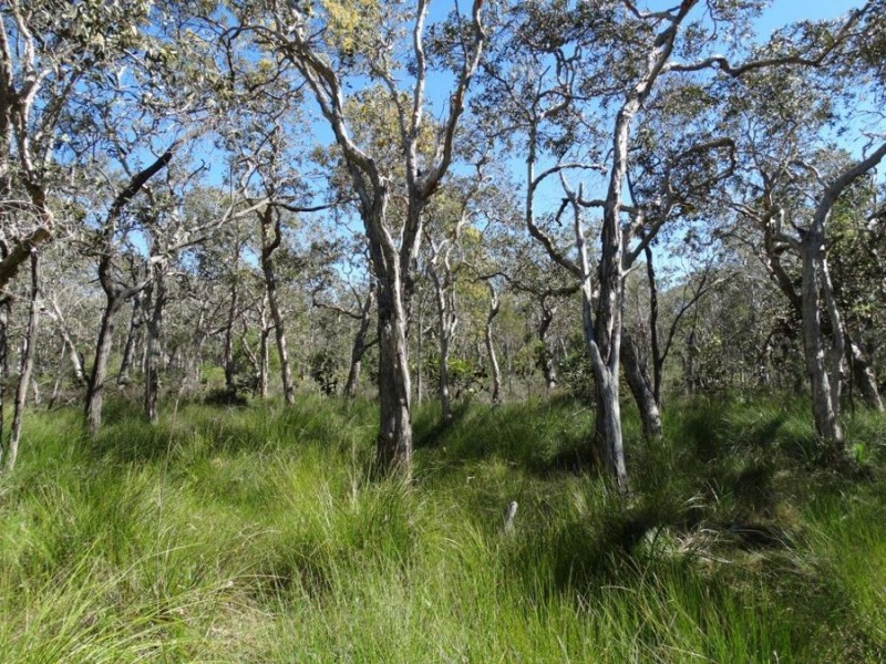 263 Fingerfield Road, Rules Beach QLD 4674