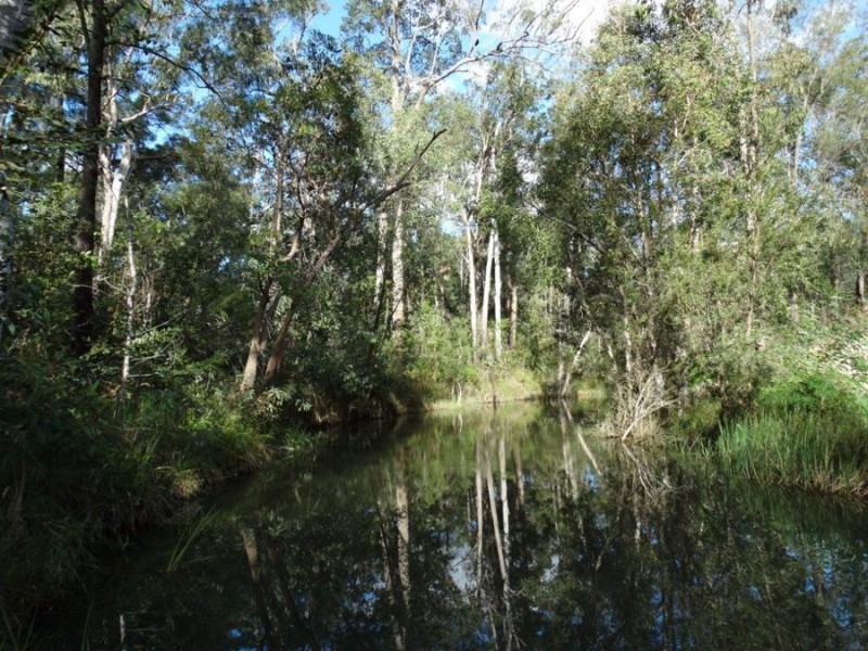 1677 Tableland Road, Mount Maria QLD 4674