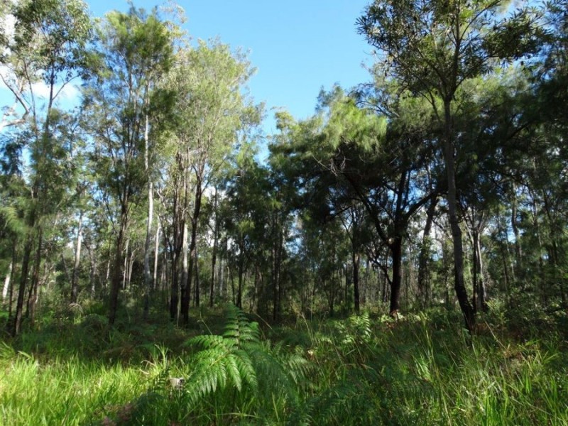 1677 Tableland Road, Mount Maria QLD 4674