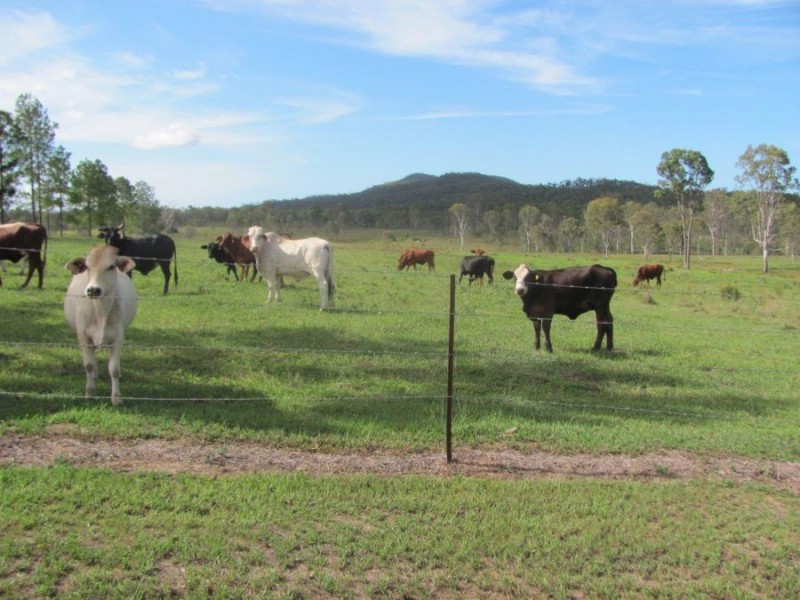 351 Hills Road, Berajondo QLD 4674