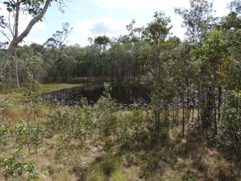 301 Whytallabah Road, Euleilah QLD 4674