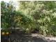 LOT 57 Elzeards Way, Gin Gin QLD 4671