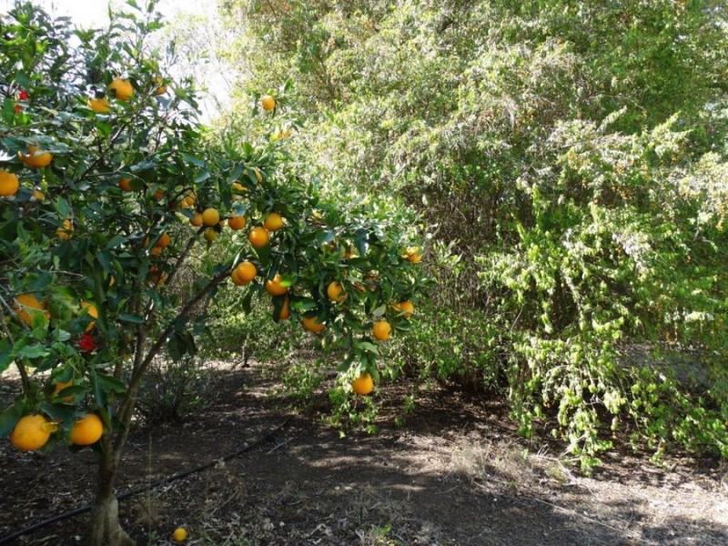 LOT 57 Elzeards Way, Gin Gin QLD 4671