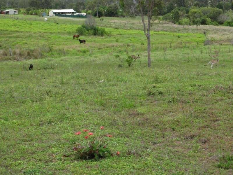 38 Hinrichs Road, Rosedale QLD 4674