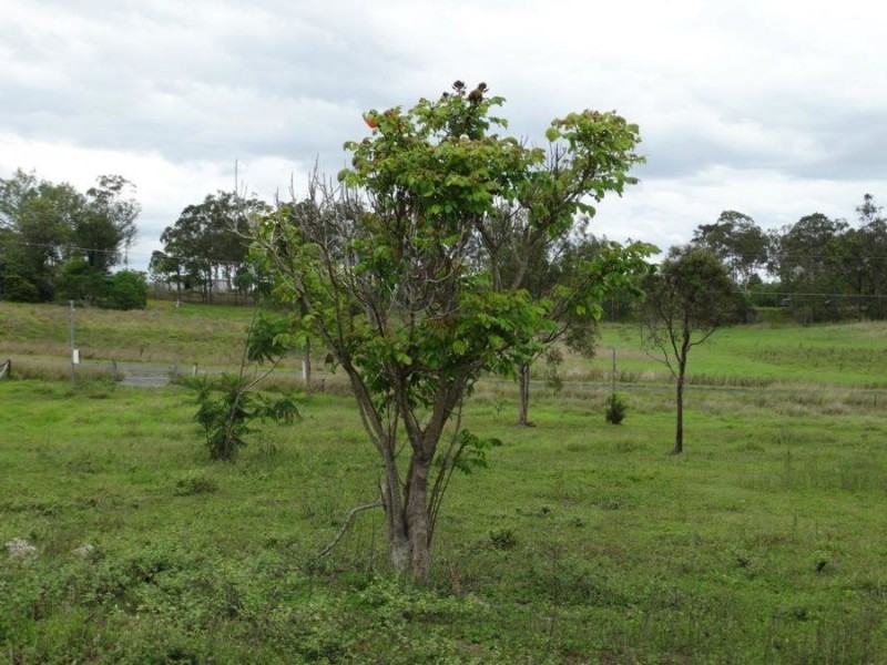 38 Hinrichs Road, Rosedale QLD 4674