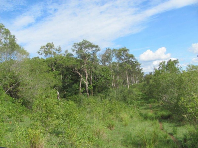 Lot 1 Wills Road, Rosedale QLD 4674