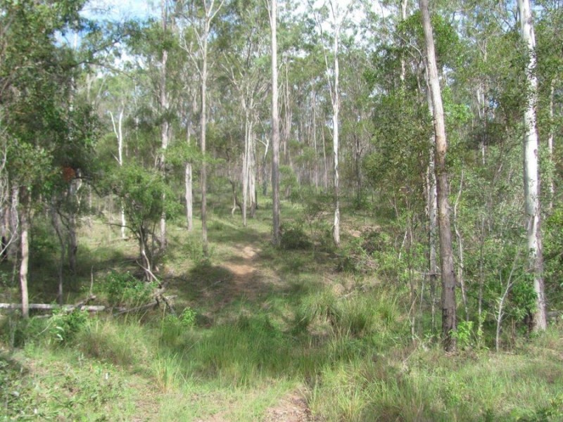 Lot 1 Wills Road, Rosedale QLD 4674