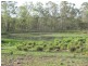 Lot 1 Wills Road, Rosedale QLD 4674