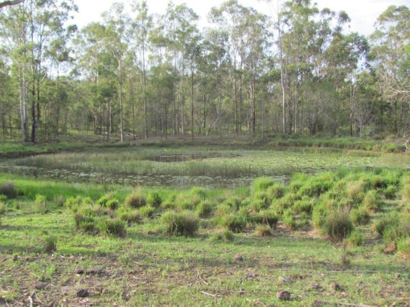 Lot 1 Wills Road, Rosedale QLD 4674