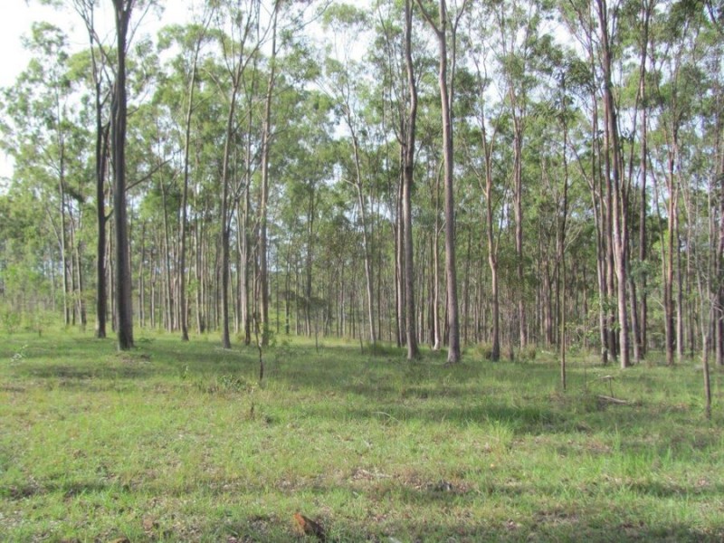 Lot 1 Wills Road, Rosedale QLD 4674