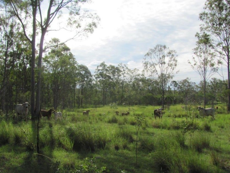 Lot 1 Wills Road, Rosedale QLD 4674