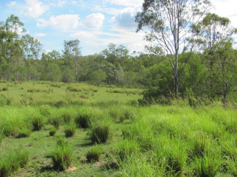 Lot 1 Wills Road, Rosedale QLD 4674