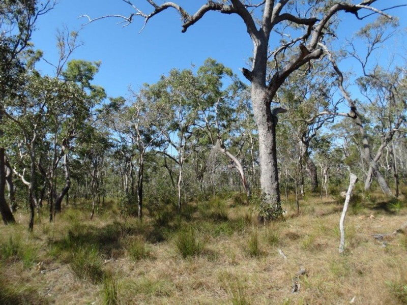 Lot 17 Deepwater Road, Deepwater QLD 4674