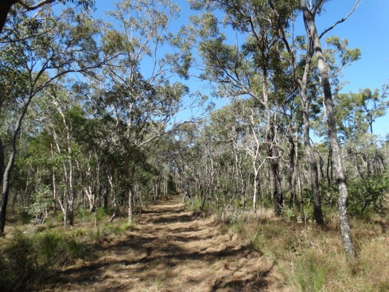 Lot 17 Deepwater Road, Deepwater QLD 4674