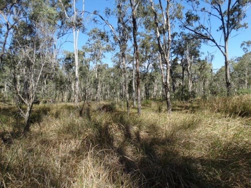 Lot 17 Deepwater Road, Deepwater QLD 4674