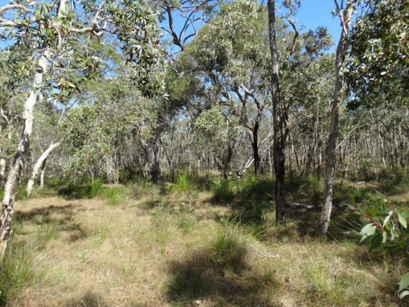 Lot 17 Deepwater Road, Deepwater QLD 4674
