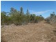 Lot 17 Deepwater Road, Deepwater QLD 4674