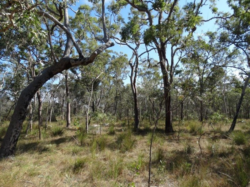 Lot 17 Deepwater Road, Deepwater QLD 4674