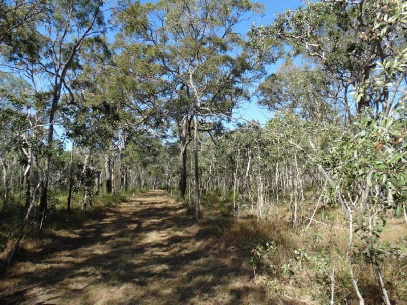 Lot 17 Deepwater Road, Deepwater QLD 4674