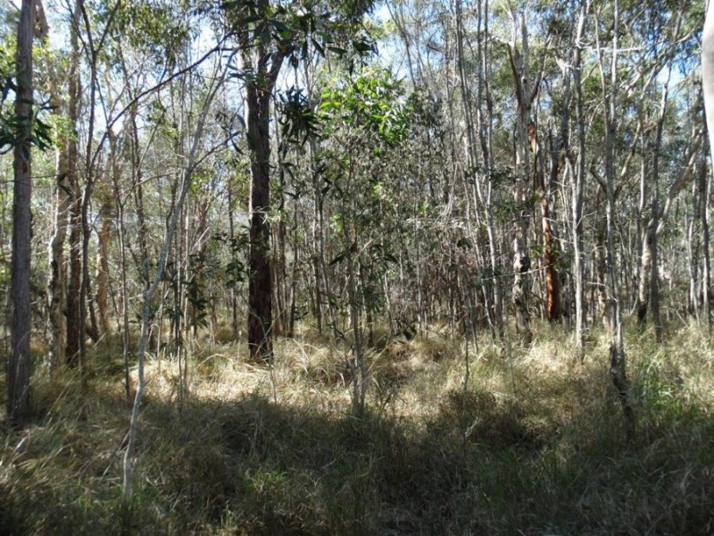 Lot 17 Deepwater Road, Deepwater QLD 4674