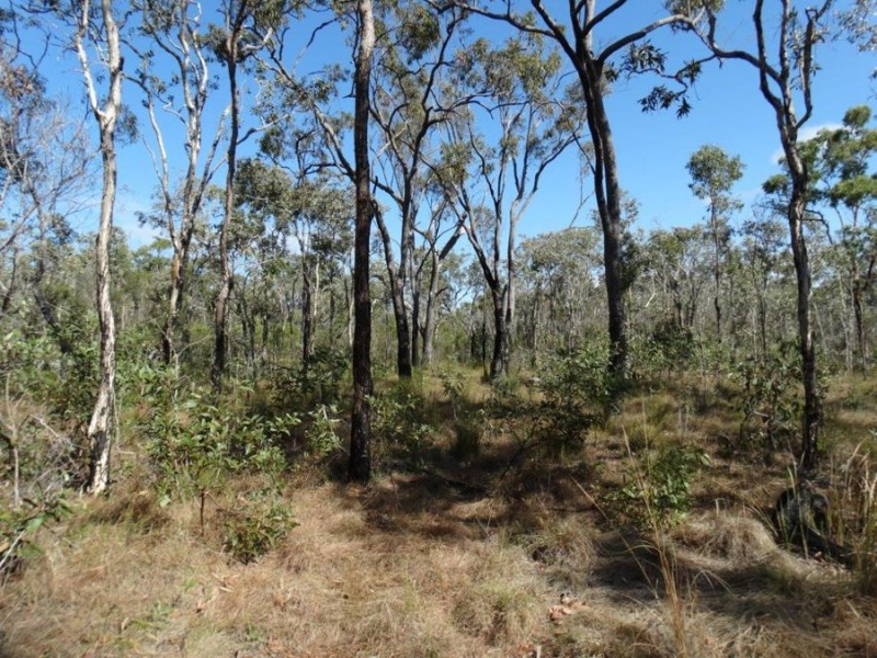 Lot 17 Deepwater Road, Deepwater QLD 4674
