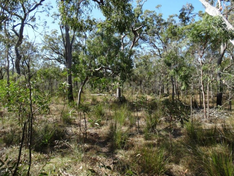 Lot 17 Deepwater Road, Deepwater QLD 4674