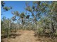 Lot 17 Deepwater Road, Deepwater QLD 4674