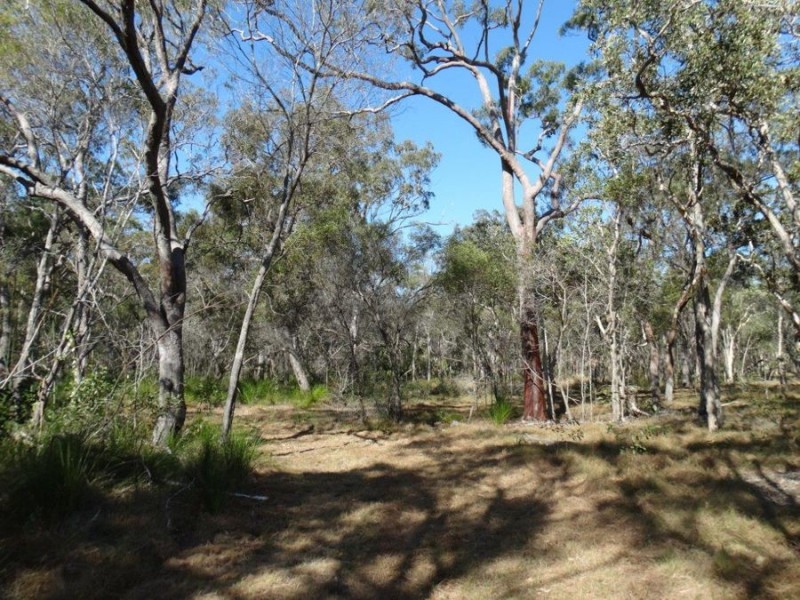 Lot 17 Deepwater Road, Deepwater QLD 4674