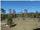 Lot 143 Newitts Road, Yandaran QLD 4673