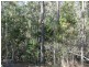 Lot 143 Newitts Road, Yandaran QLD 4673