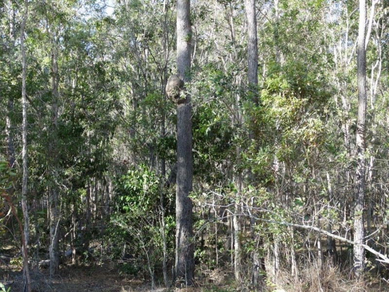 Lot 143 Newitts Road, Yandaran QLD 4673